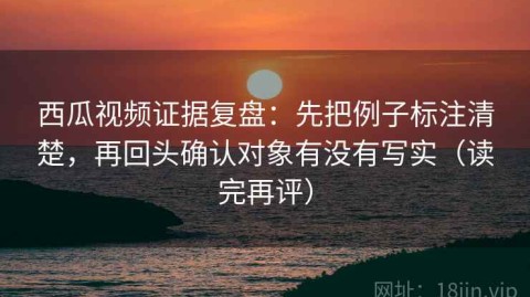 西瓜视频证据复盘：先把例子标注清楚，再回头确认对象有没有写实（读完再评）